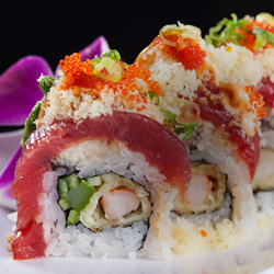Sushi Obsession